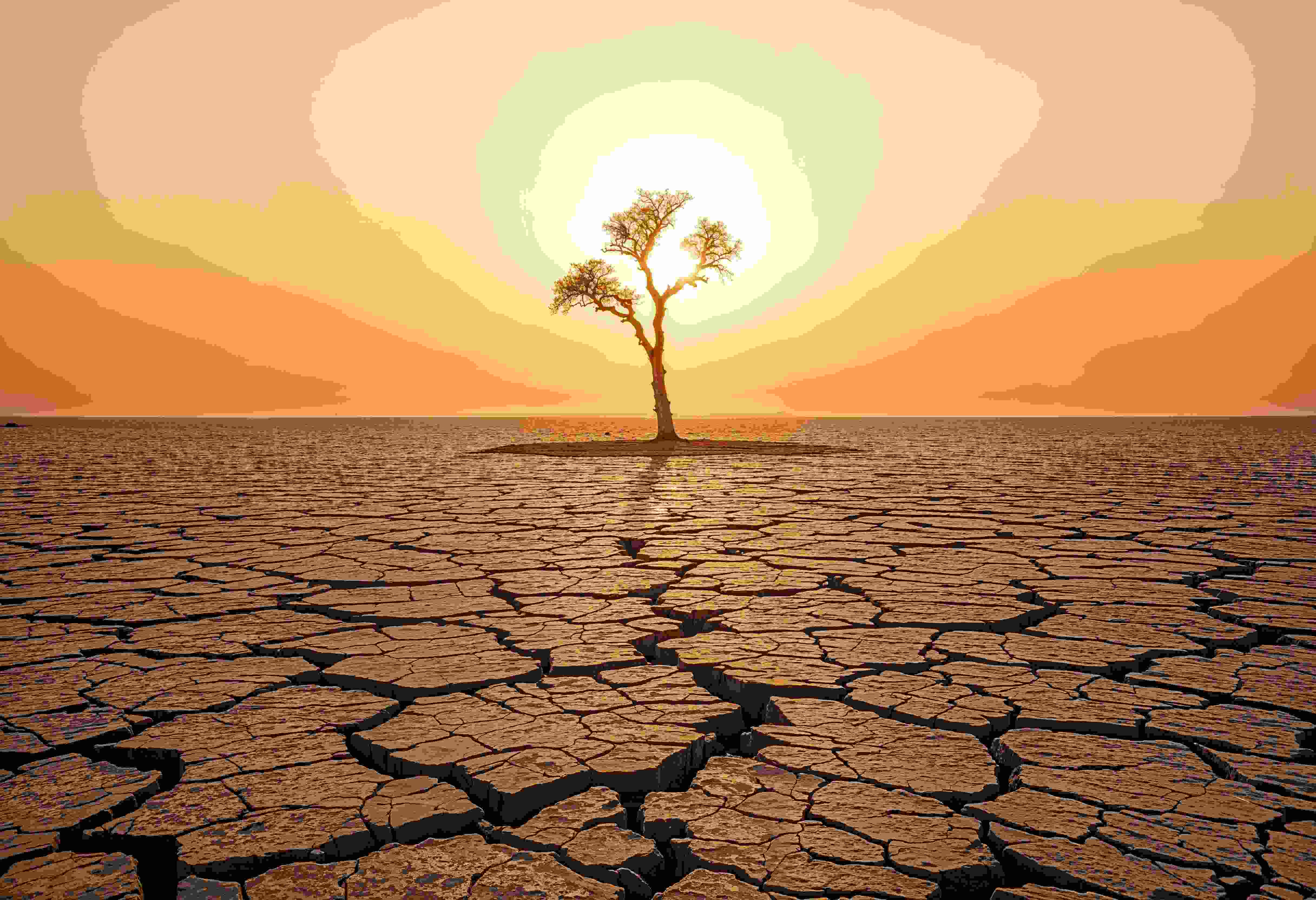 The 2026 Super El Nino Economic Impact