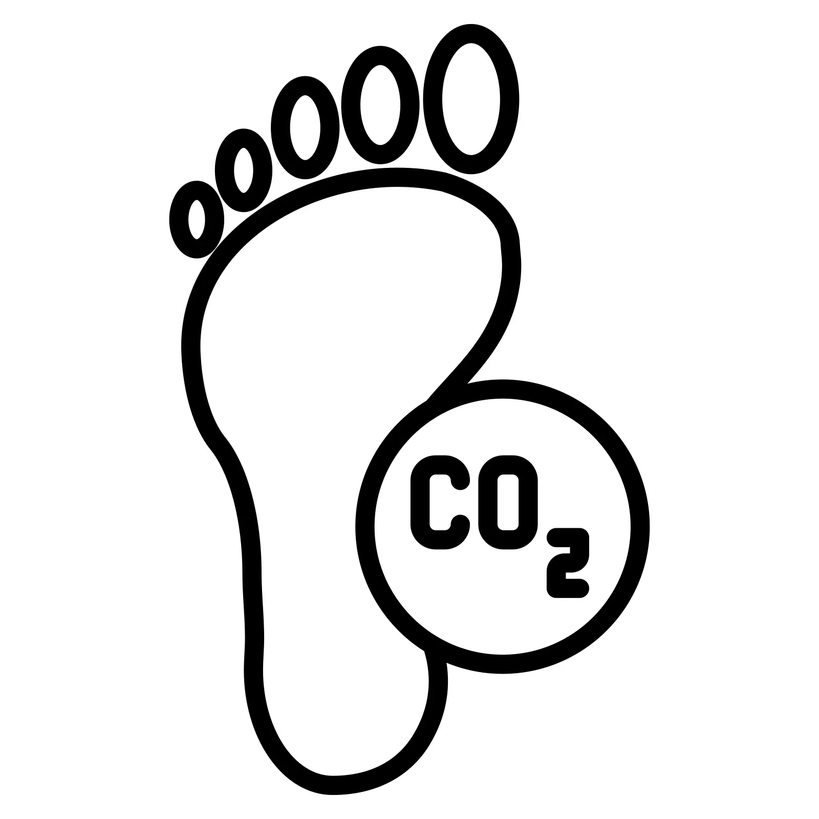 Carbon Footprint