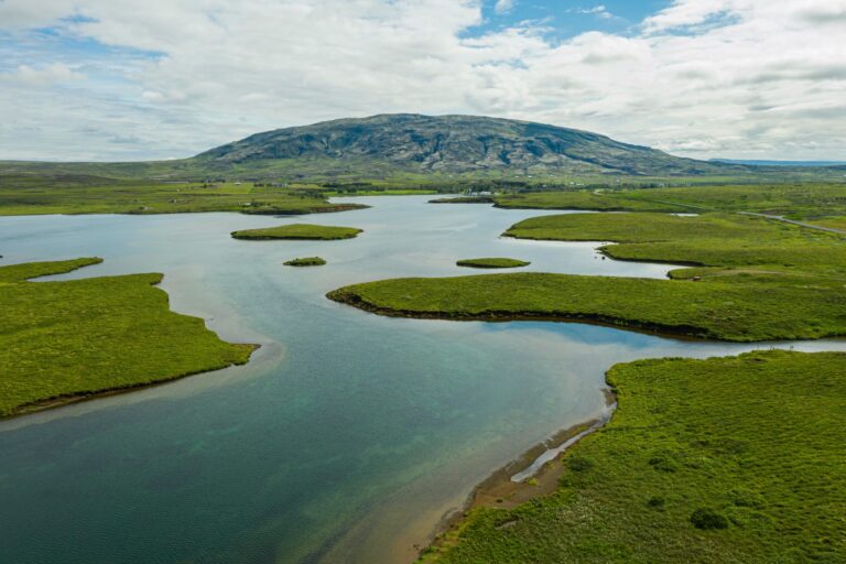 Floating Wetlands and the Future of Corporate Sustainability: What a Wastewater Lagoon in Australia Teaches Us About ESG and Carbon Accounting