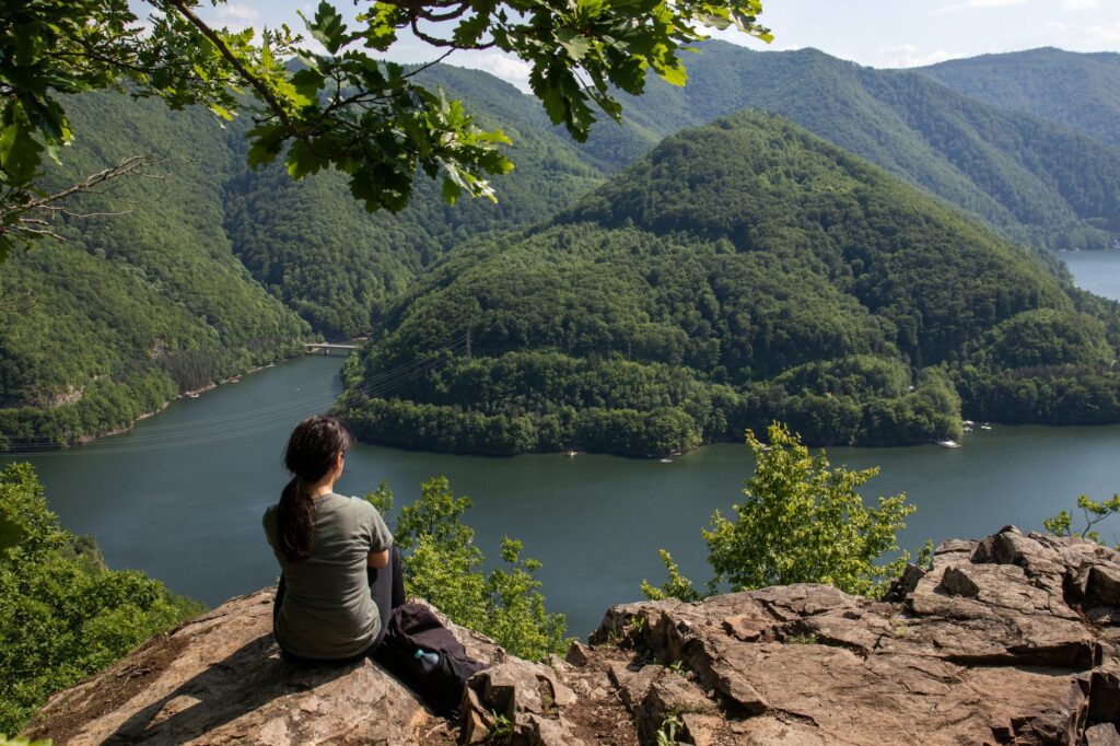 Healing Harmony: A Greener Future for Ayurveda