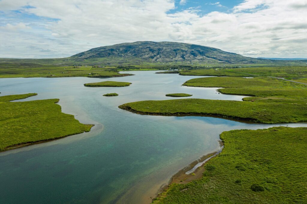 Floating Wetlands and the Future of Corporate Sustainability: What a Wastewater Lagoon in Australia Teaches Us About ESG and Carbon Accounting